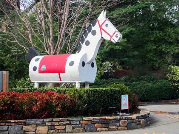 Morris the Horse in Tryon